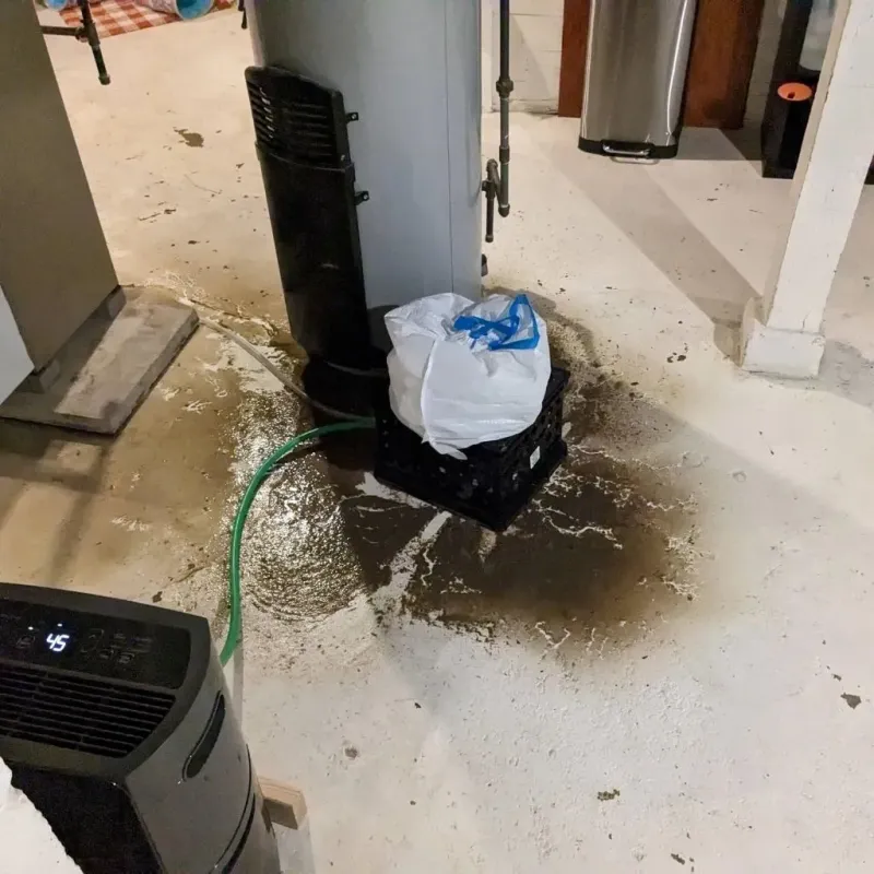 Sewage Backup Cleanup Service in River Edge, NJ